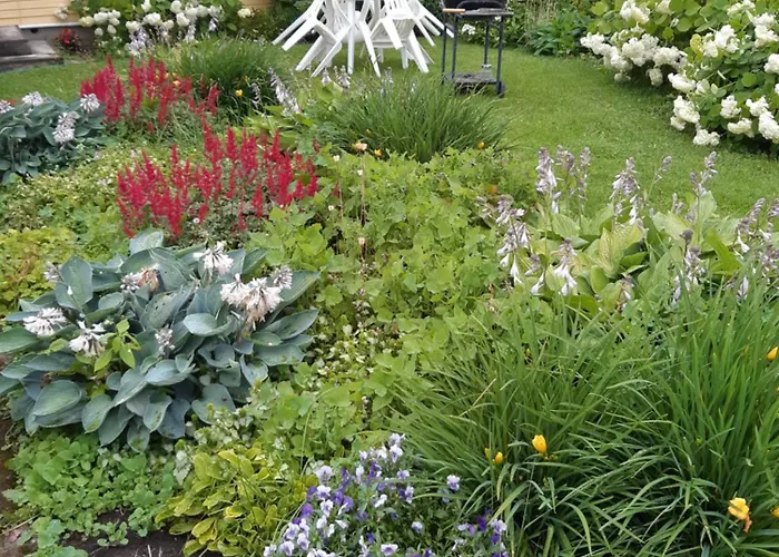 Aliise Garden Guesthouse